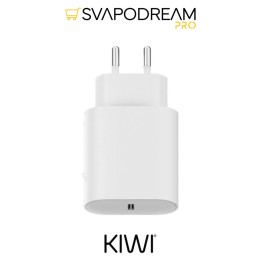 Caricabatteria Kiwi 2 USB-C da Rete | Svapodream