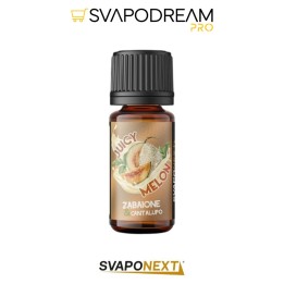 SVAPONEXT - Aroma Concentrato 10ml Next Flavour JUICY MELON