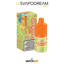 VAPORART - Liquido 10ml AGRUMI ICE