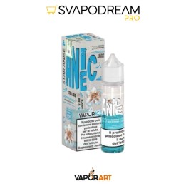 VAPORICE - Aroma Shot 20ml ANICE
